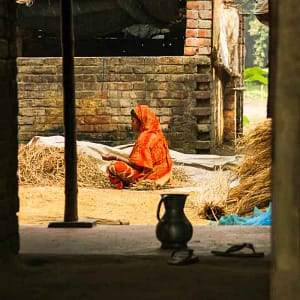 Village homestay in Bangladesh